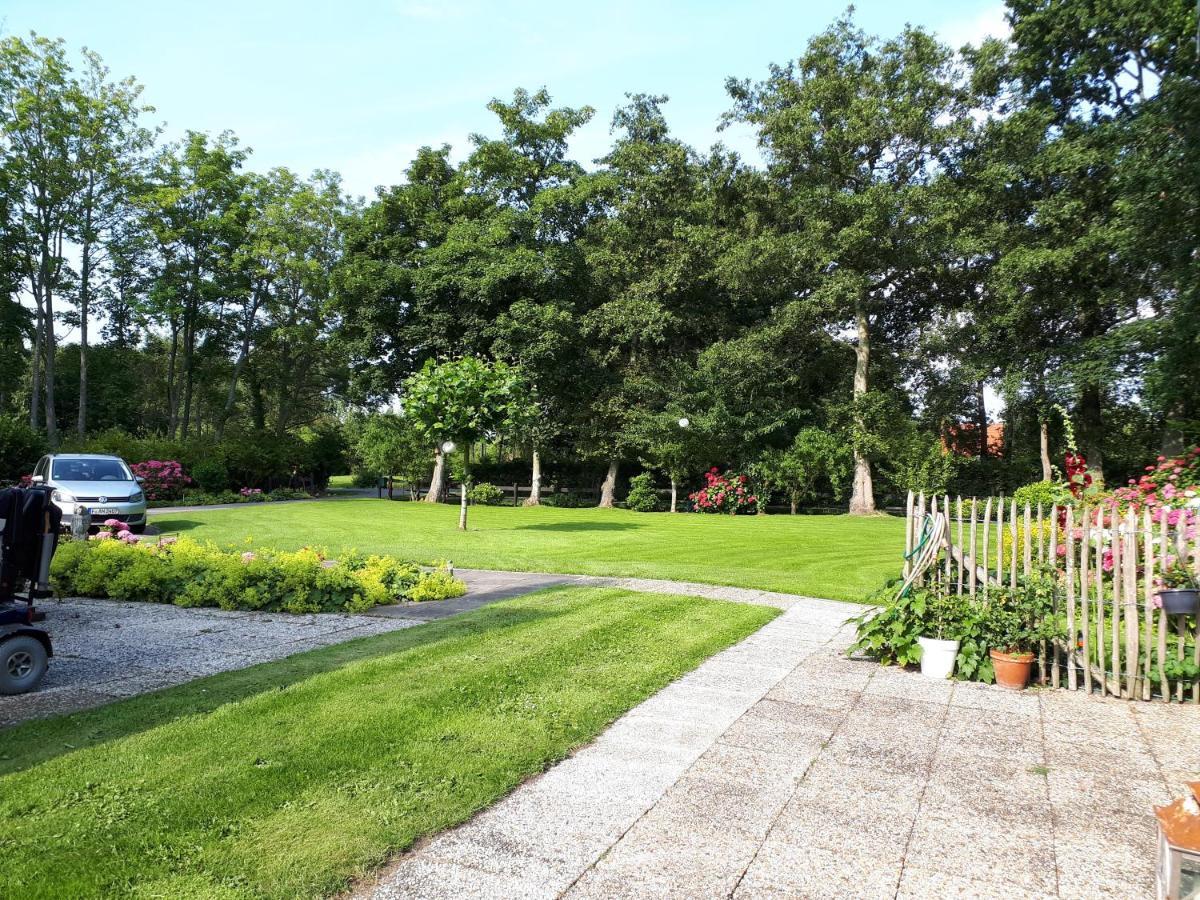 Boshut Schoorl Villa ภายนอก รูปภาพ